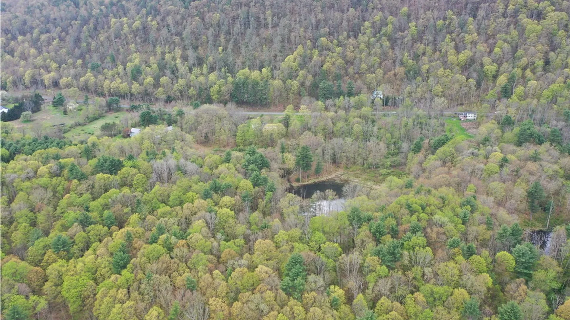 Property at 0 Coddington Road, Caroline, NY 14817 5