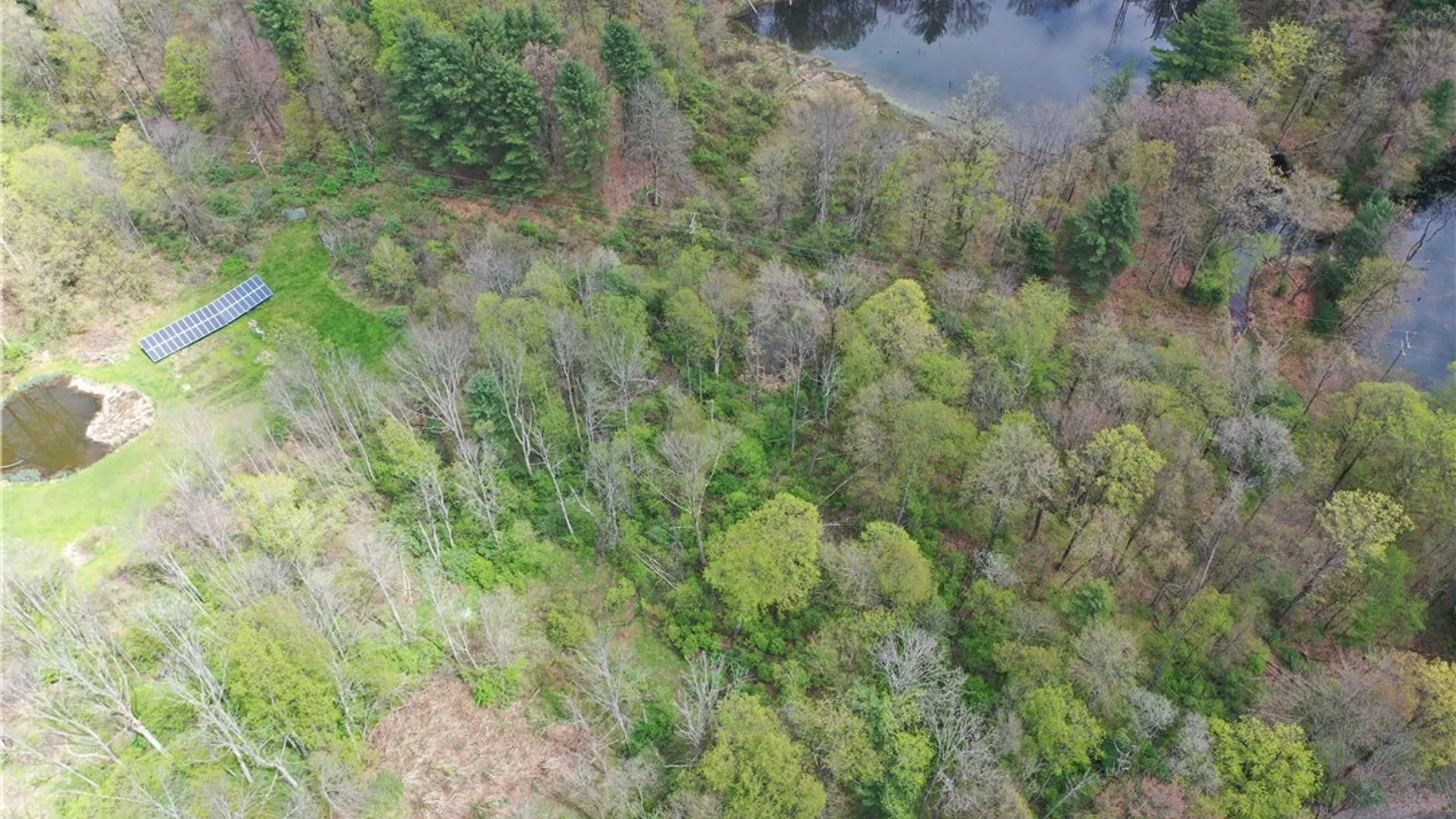 Property at 0 Coddington Road, Caroline, NY 14817 7