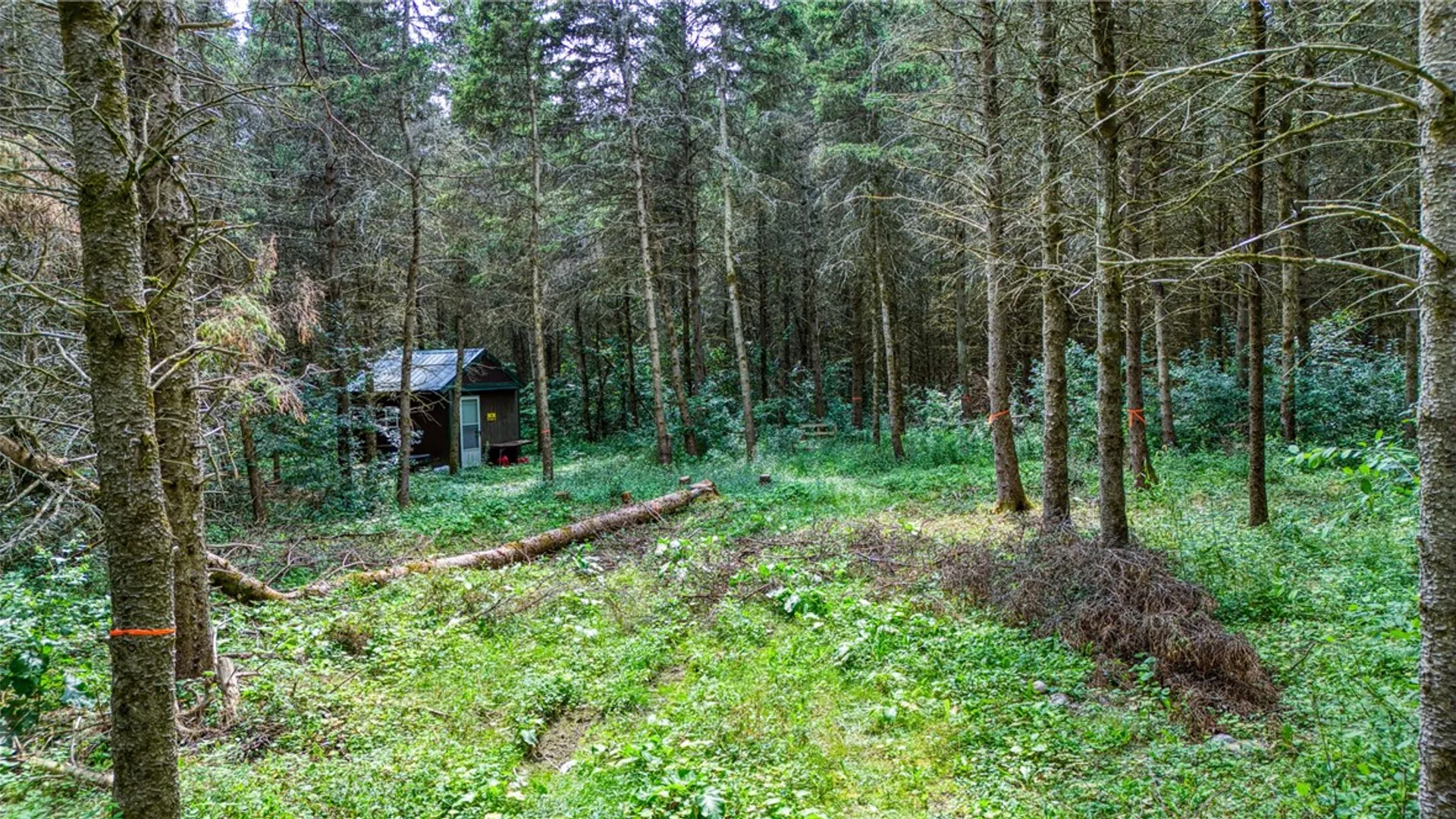 Property at 5321 Highlands Drive, Italy, NY 14418 4