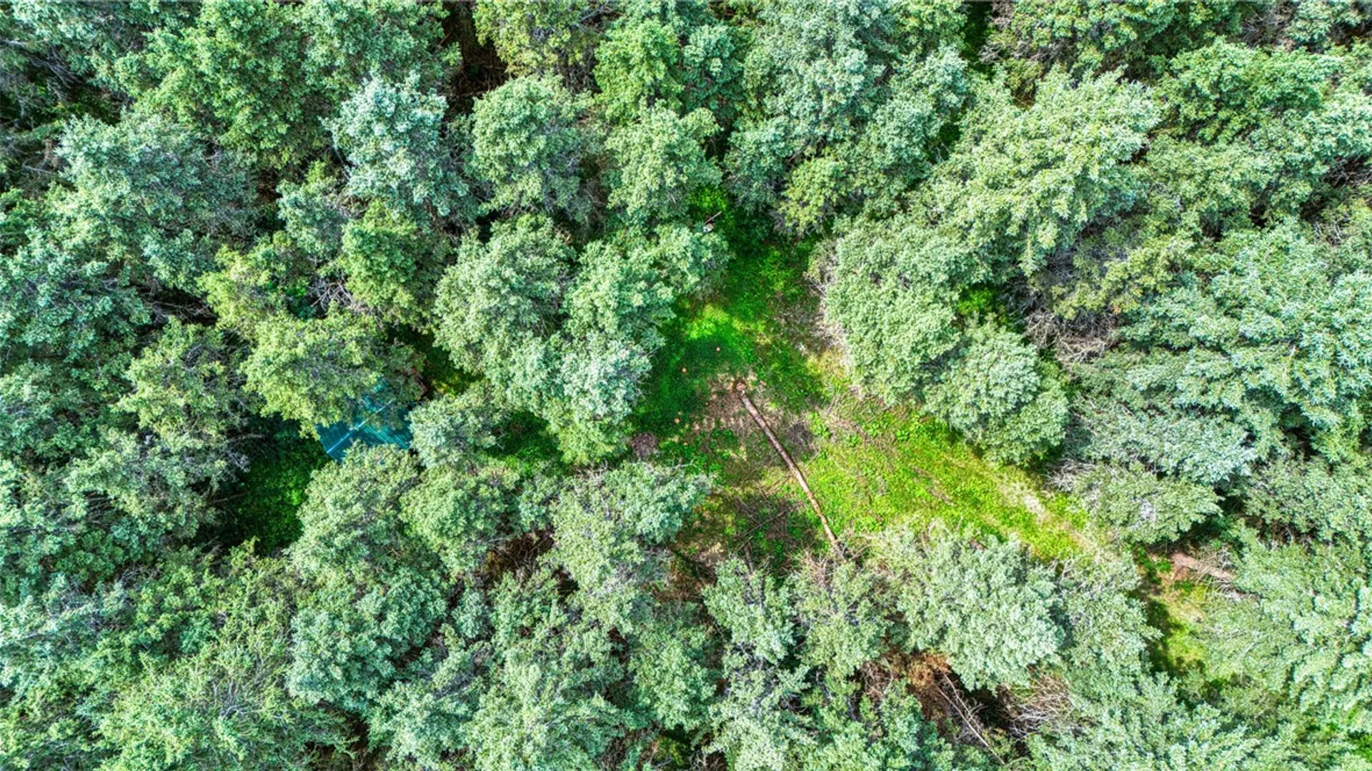 Property at 5321 Highlands Drive, Italy, NY 14418 6