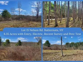 Property at Lot 15 Nelson Road, Butternuts, NY 13843