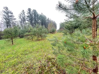 Property at Cr-26, Watson, NY 13367