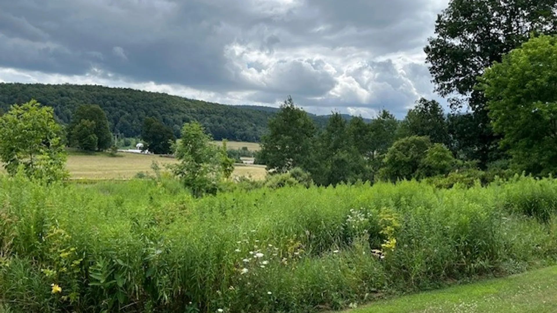 Property at 463 Cemetery Road, Seward, NY 12043 10