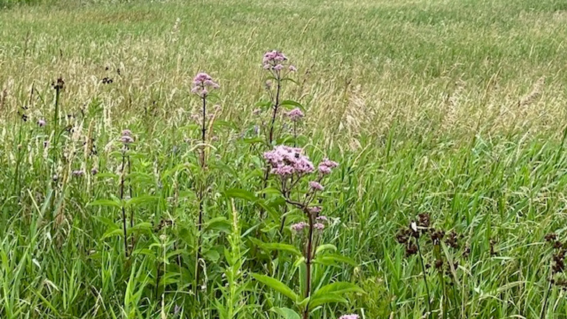 Property at 463 Cemetery Road, Seward, NY 12043 11