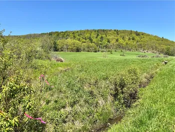 463 Cemetery Road, Seward, NY 12043