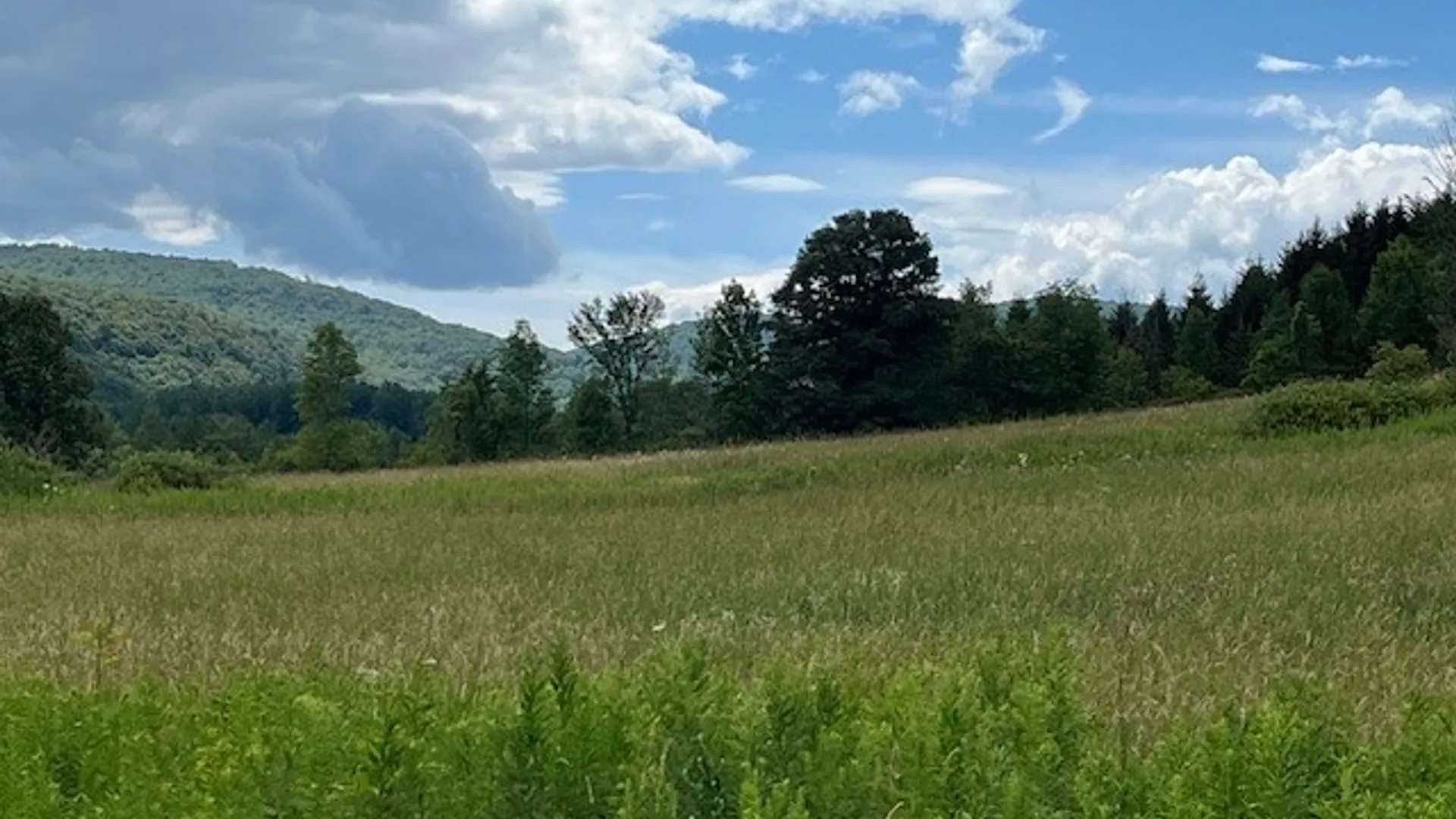 Property at 463 Cemetery Road, Seward, NY 12043 5