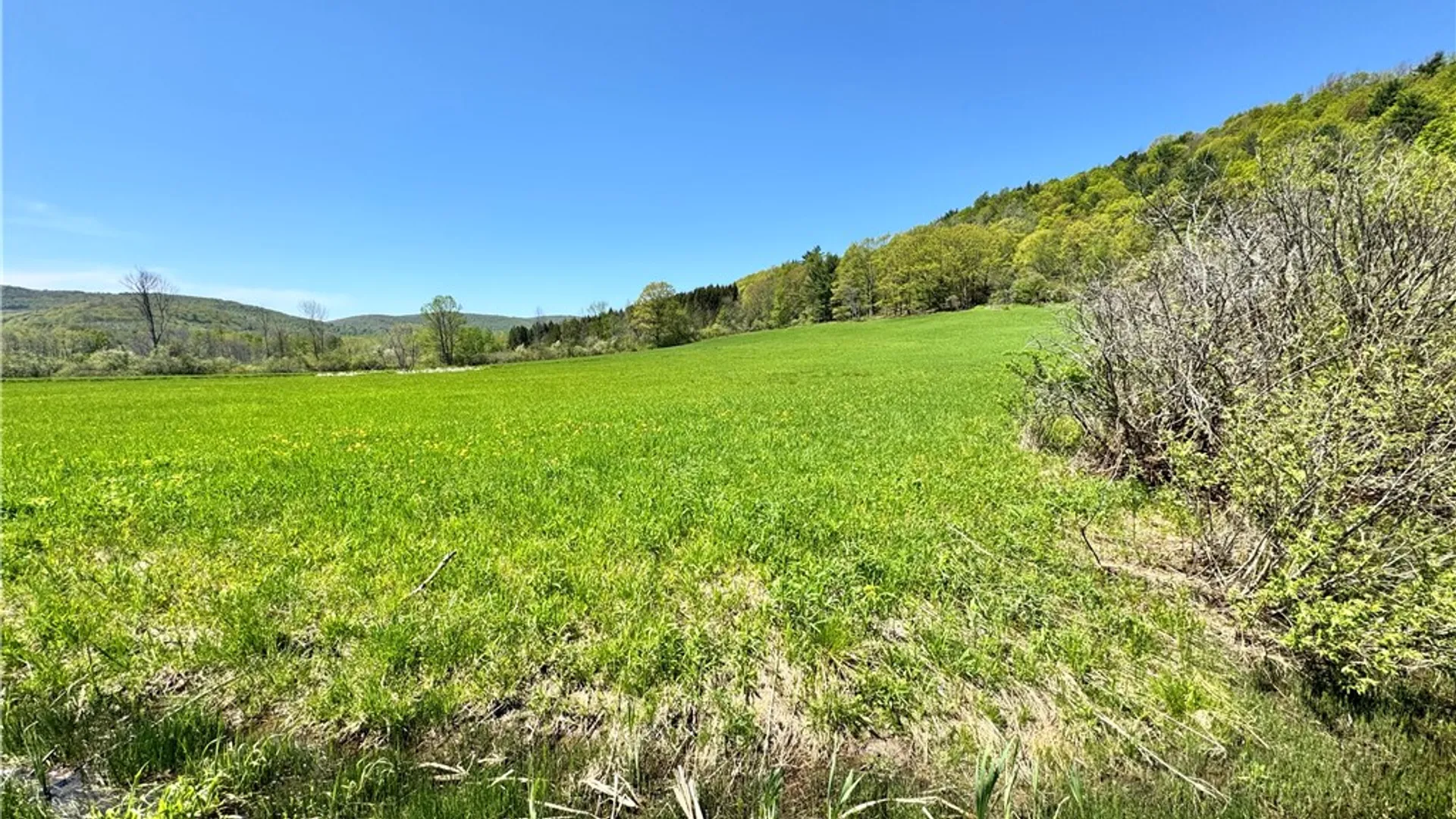 Property at 463 Cemetery Road, Seward, NY 12043 7