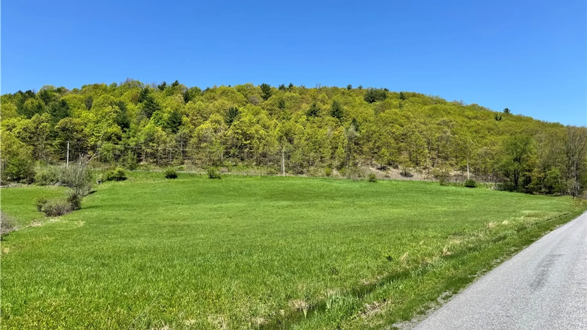 Property at 463 Cemetery Road, Seward, NY 12043 9