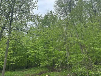 Property at 2460 Hitchings Road, Otisco, NY 13084