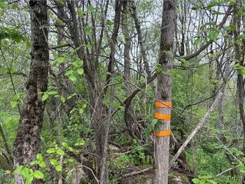 Property at Sulphur Springs Rd Road, Norway, NY 13416