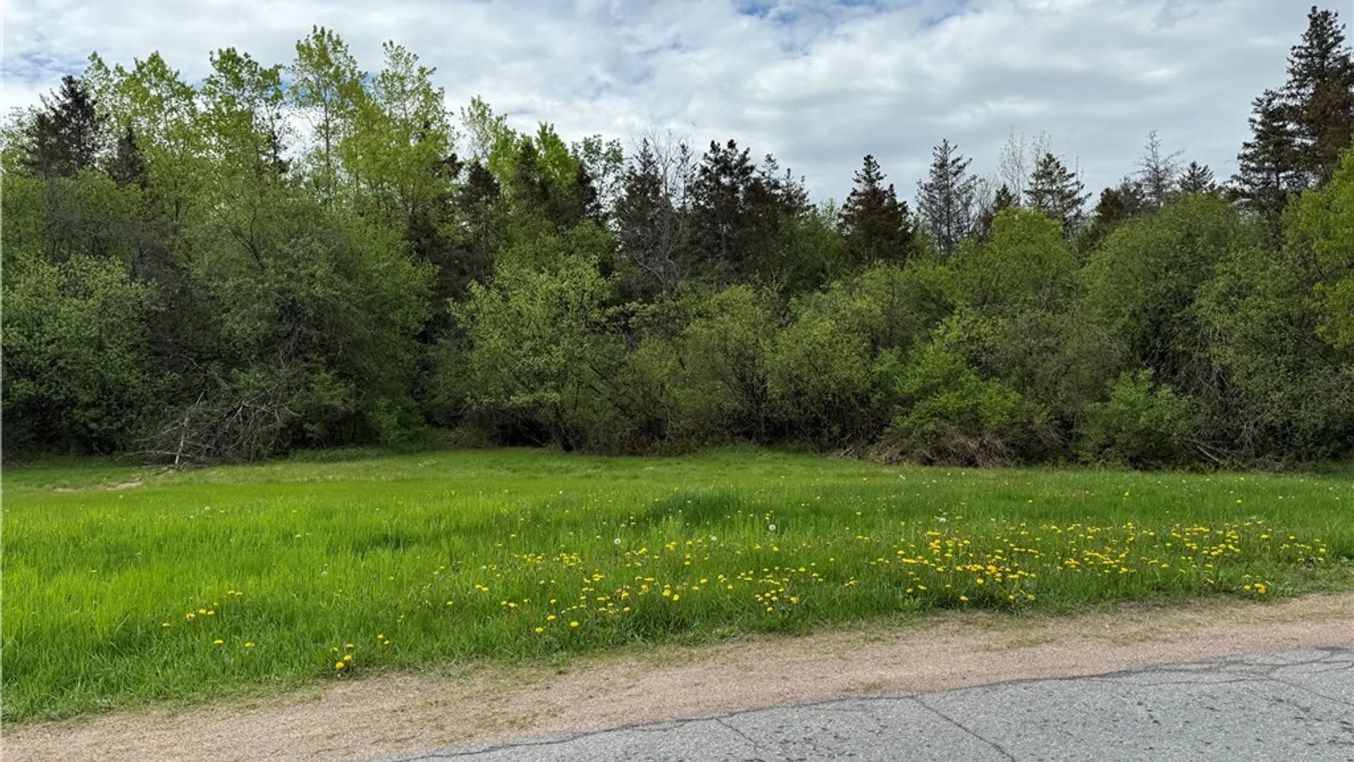 Property at 0 Spruce Crescent, Pamelia, NY 13601 2