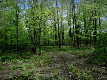 Property at Doyle Road, Brookfield, NY 13485