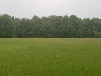 Property at LOT 4 Co Route 91, Ellisburg, NY 13636