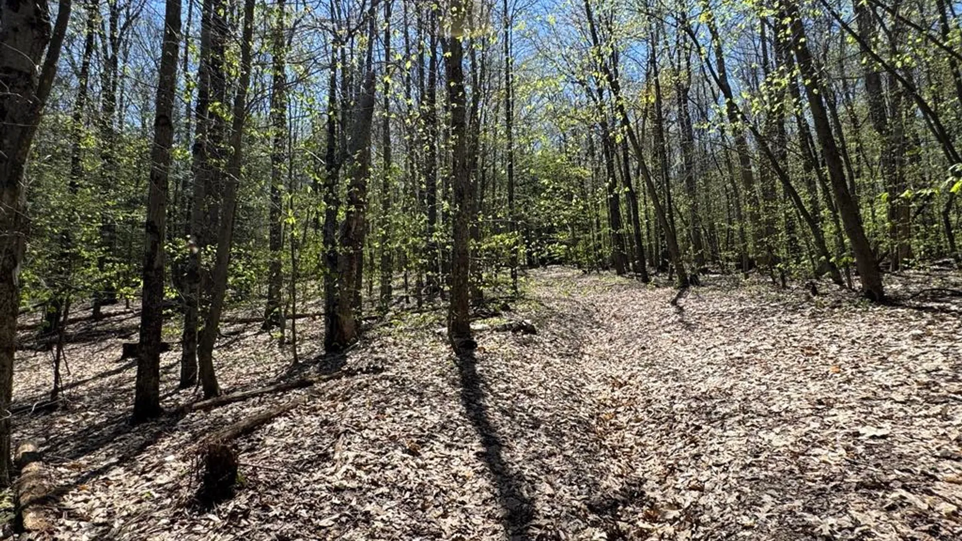 Property at Barnum Road, Middlefield, NY 13320 11
