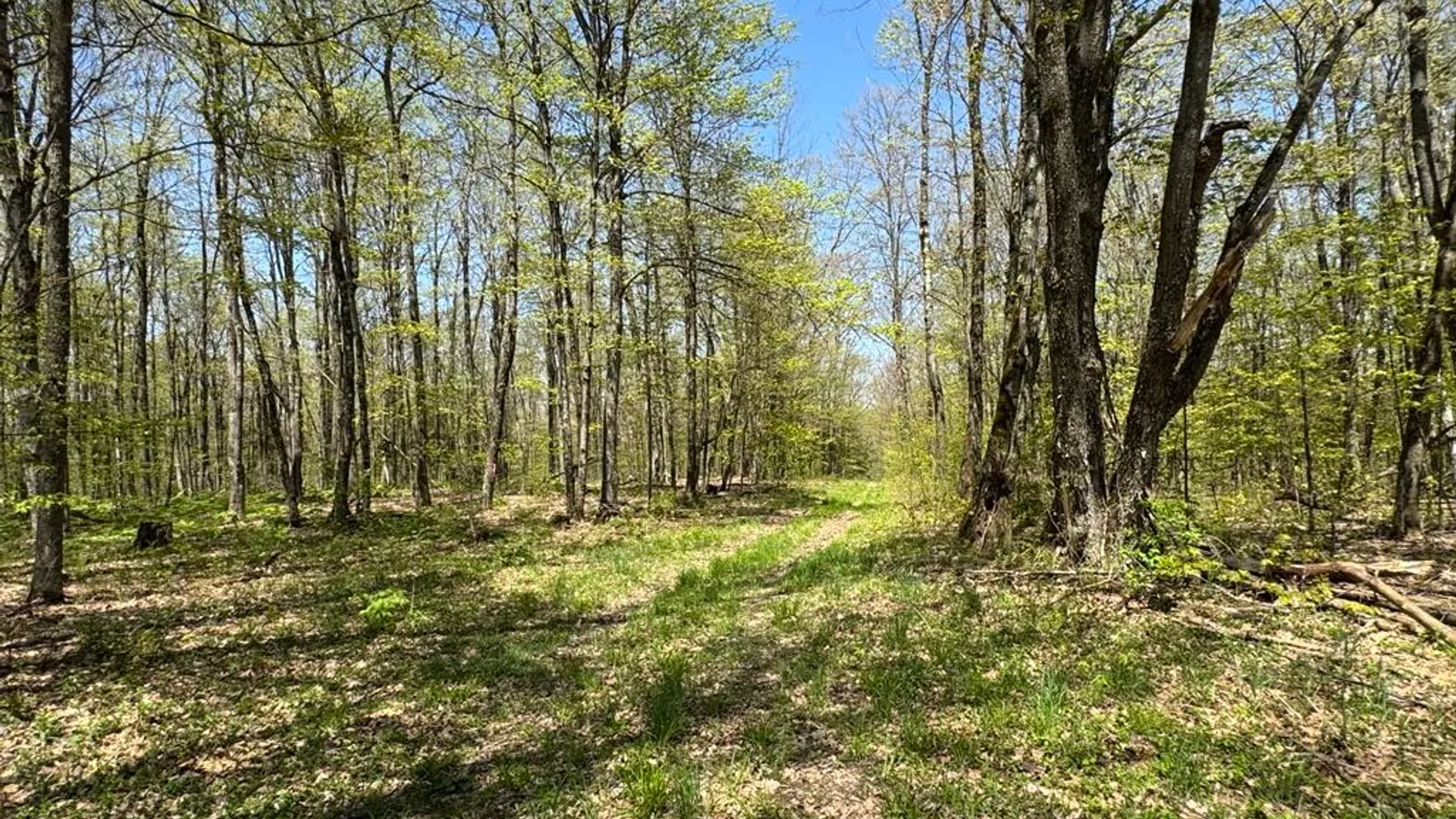 Property at Barnum Road, Middlefield, NY 13320 9