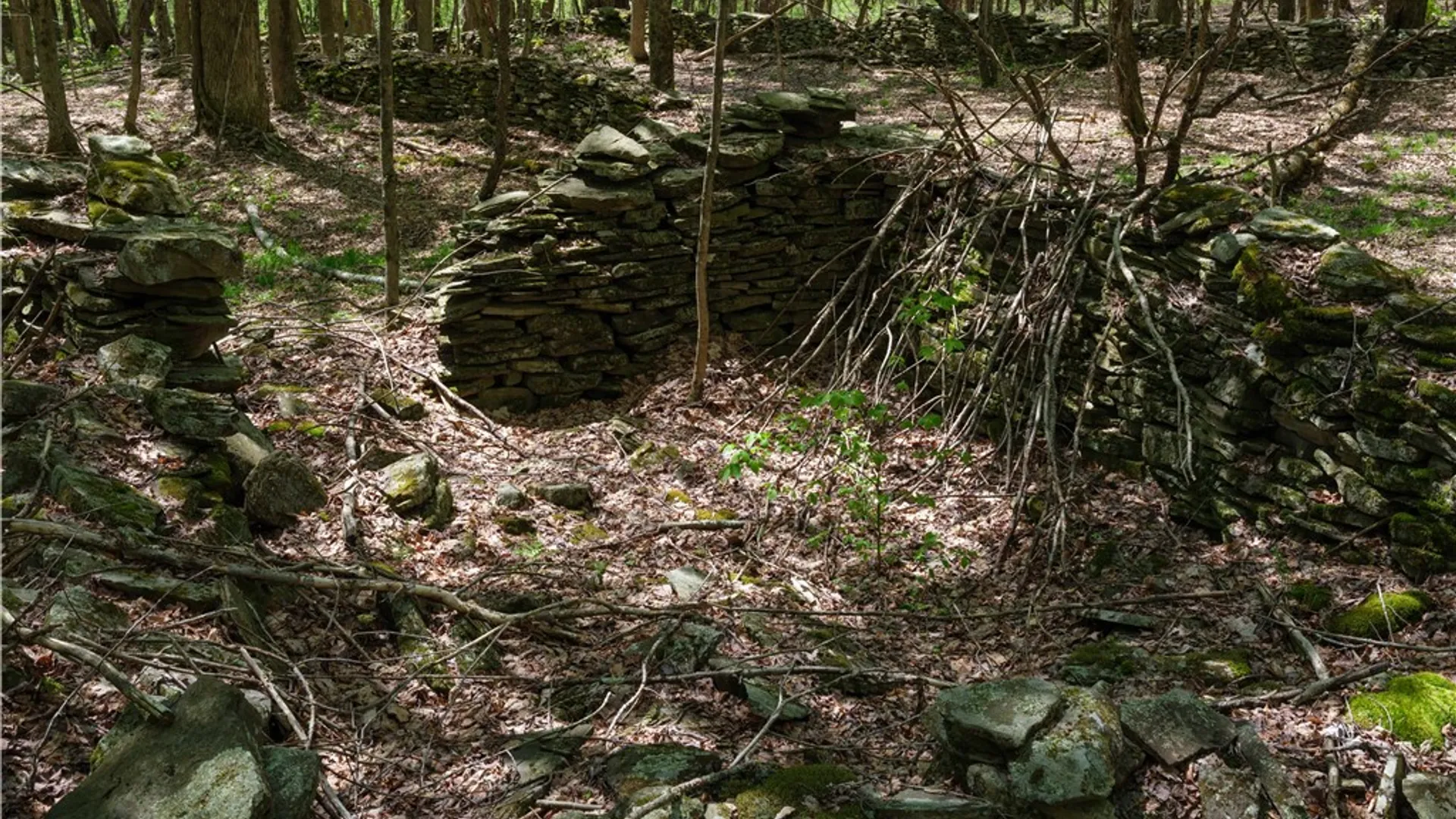 Property at Sanly Road, Franklin, NY 13839 11