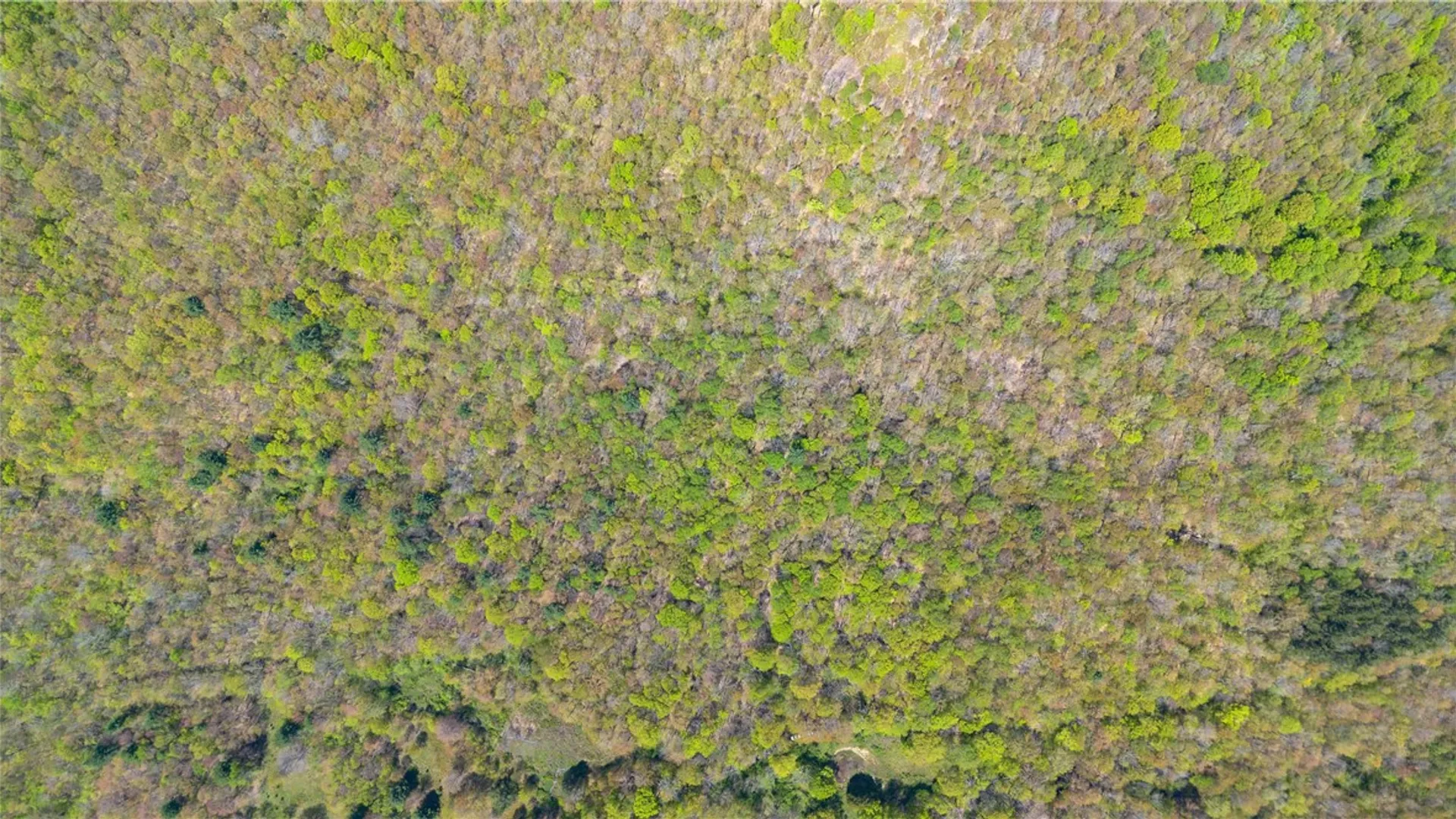 Property at Sanly Road, Franklin, NY 13839 14