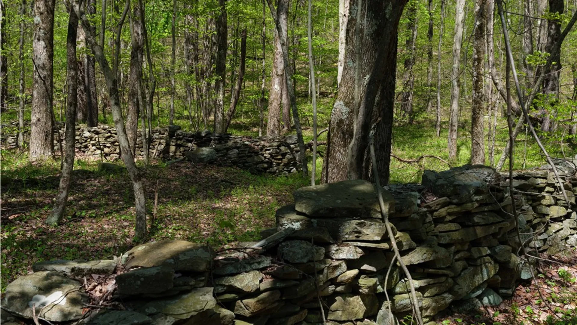 Property at Sanly Road, Franklin, NY 13839 2