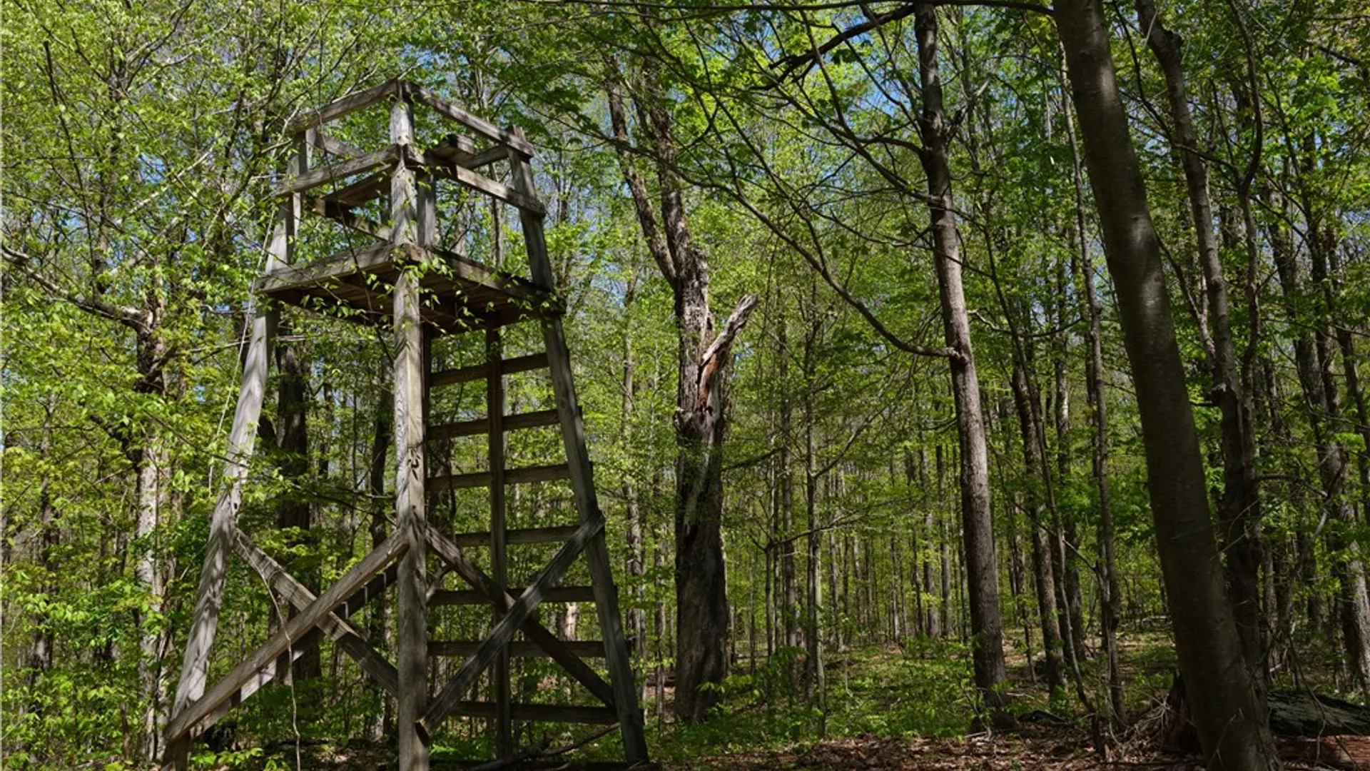 Property at Sanly Road, Franklin, NY 13839 4