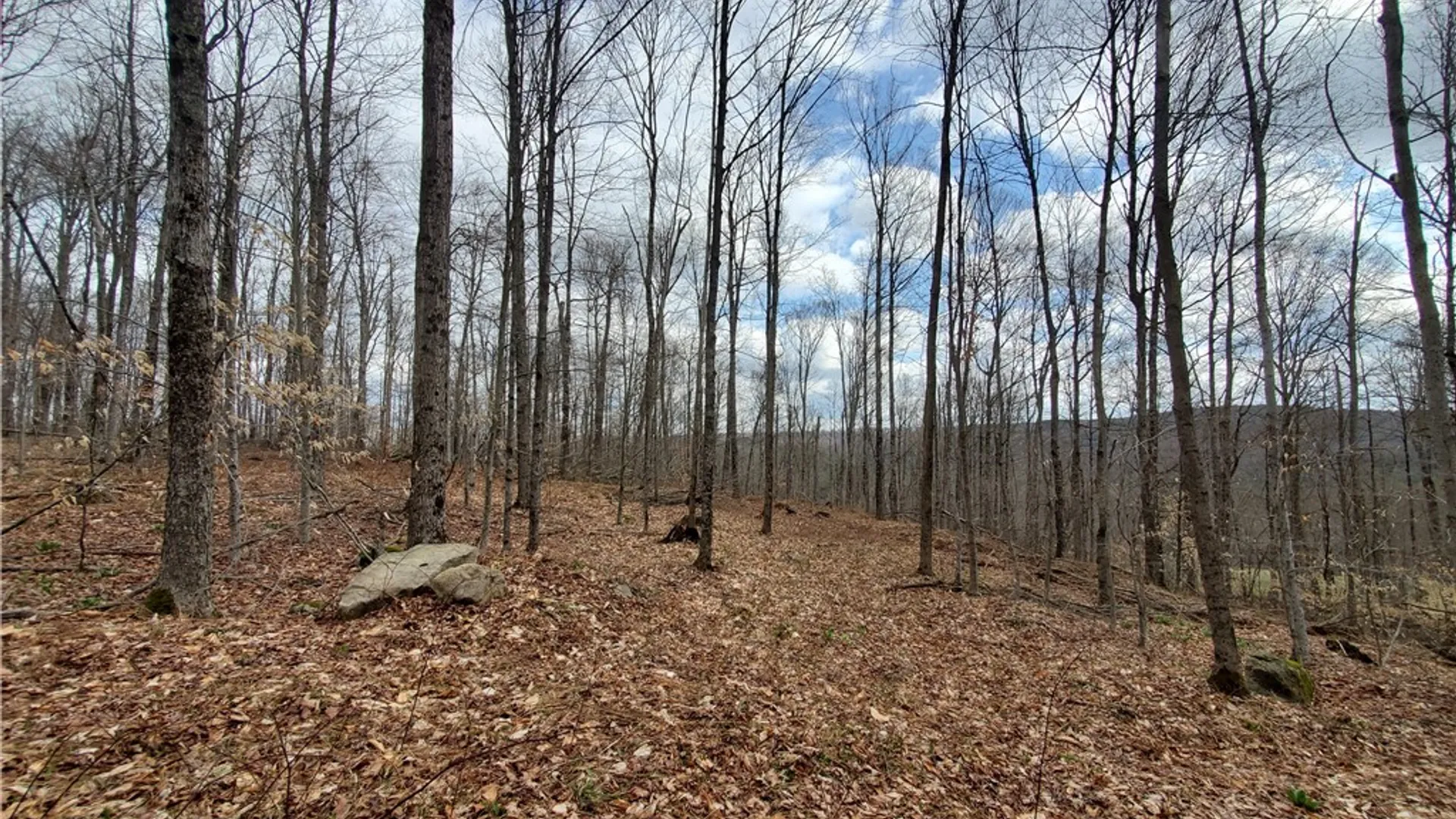 Property at Lot 3 Goddards Road, New Lisbon, NY 13810 10