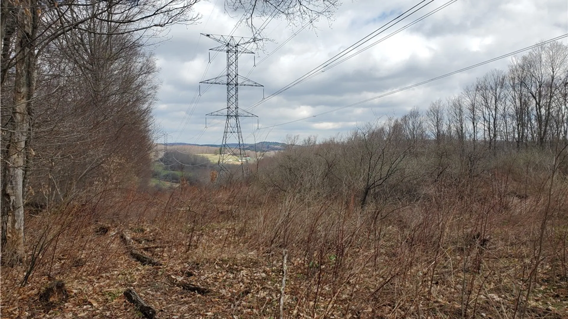 Property at Lot 3 Goddards Road, New Lisbon, NY 13810 11