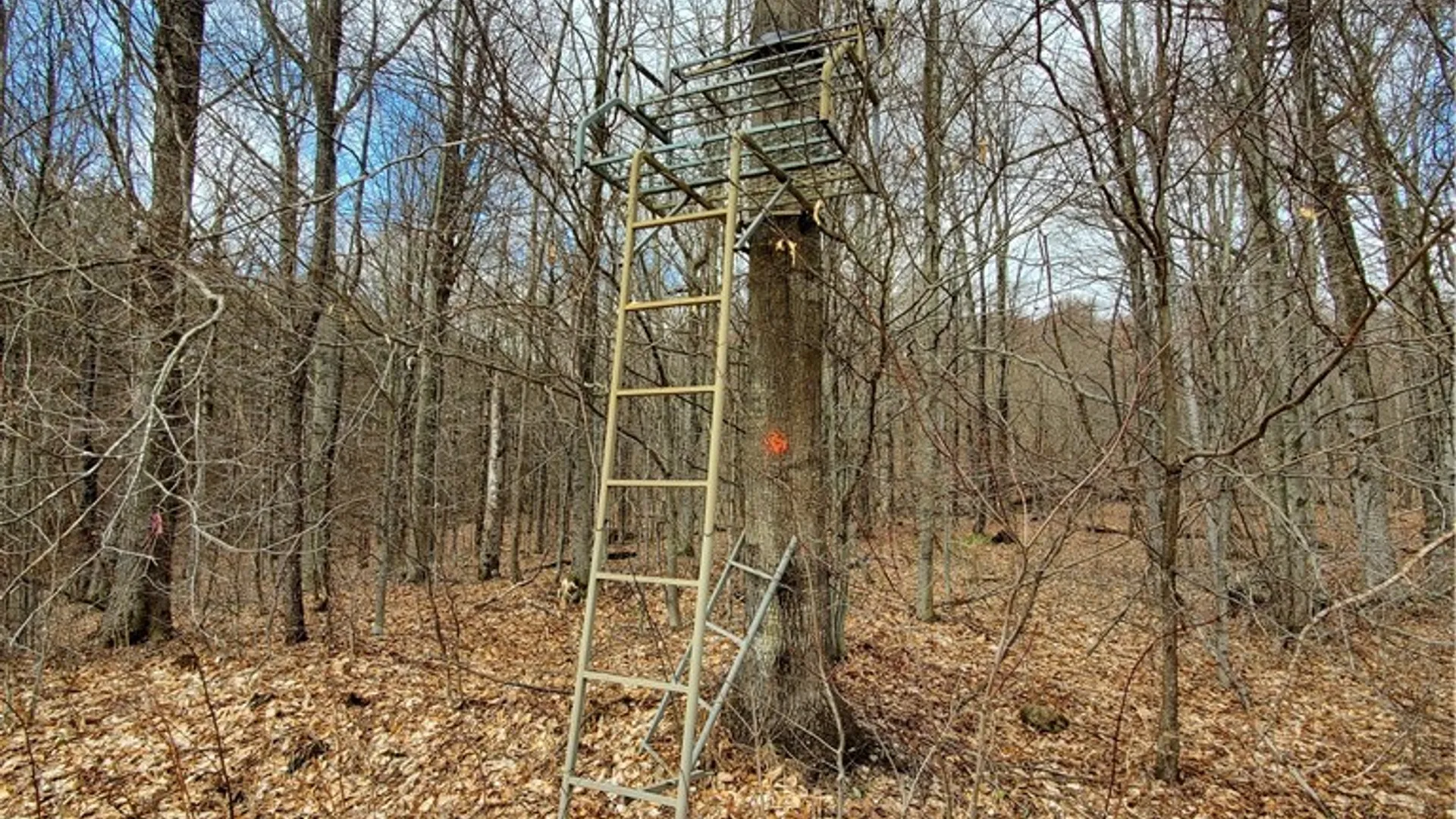 Property at Lot 3 Goddards Road, New Lisbon, NY 13810 13