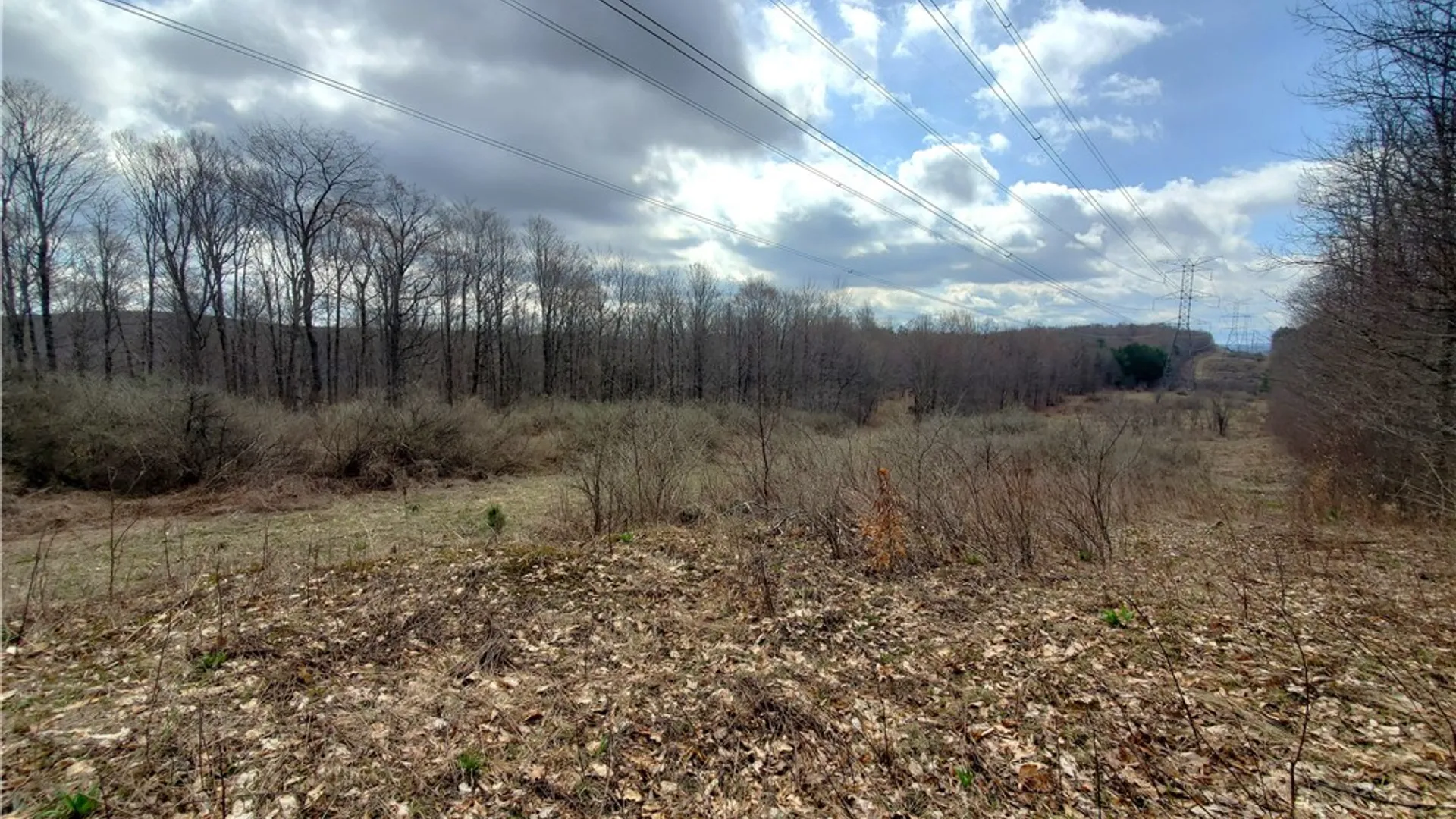 Property at Lot 3 Goddards Road, New Lisbon, NY 13810 14