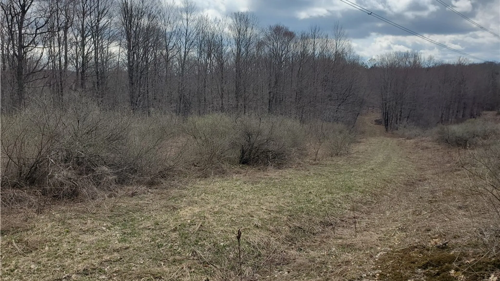 Property at Lot 3 Goddards Road, New Lisbon, NY 13810 15