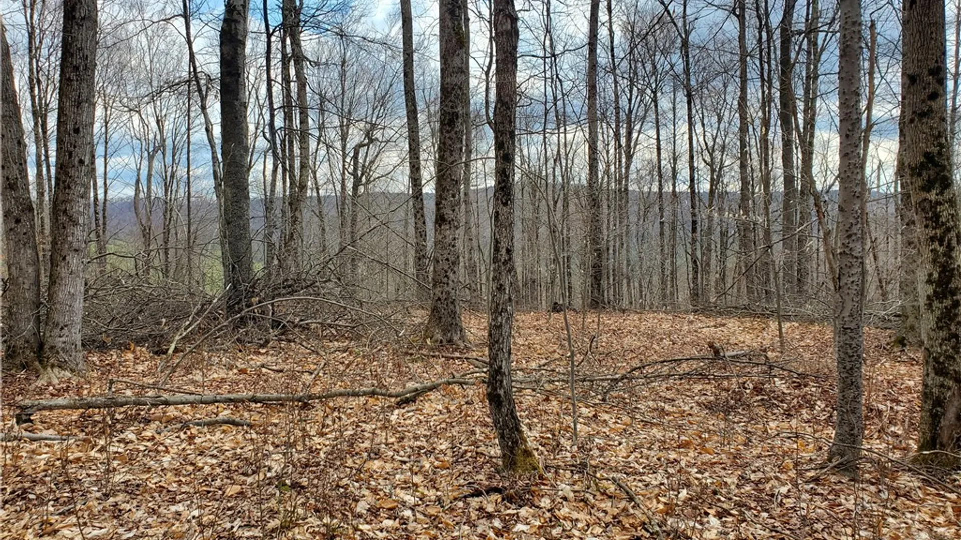 Property at Lot 3 Goddards Road, New Lisbon, NY 13810 16