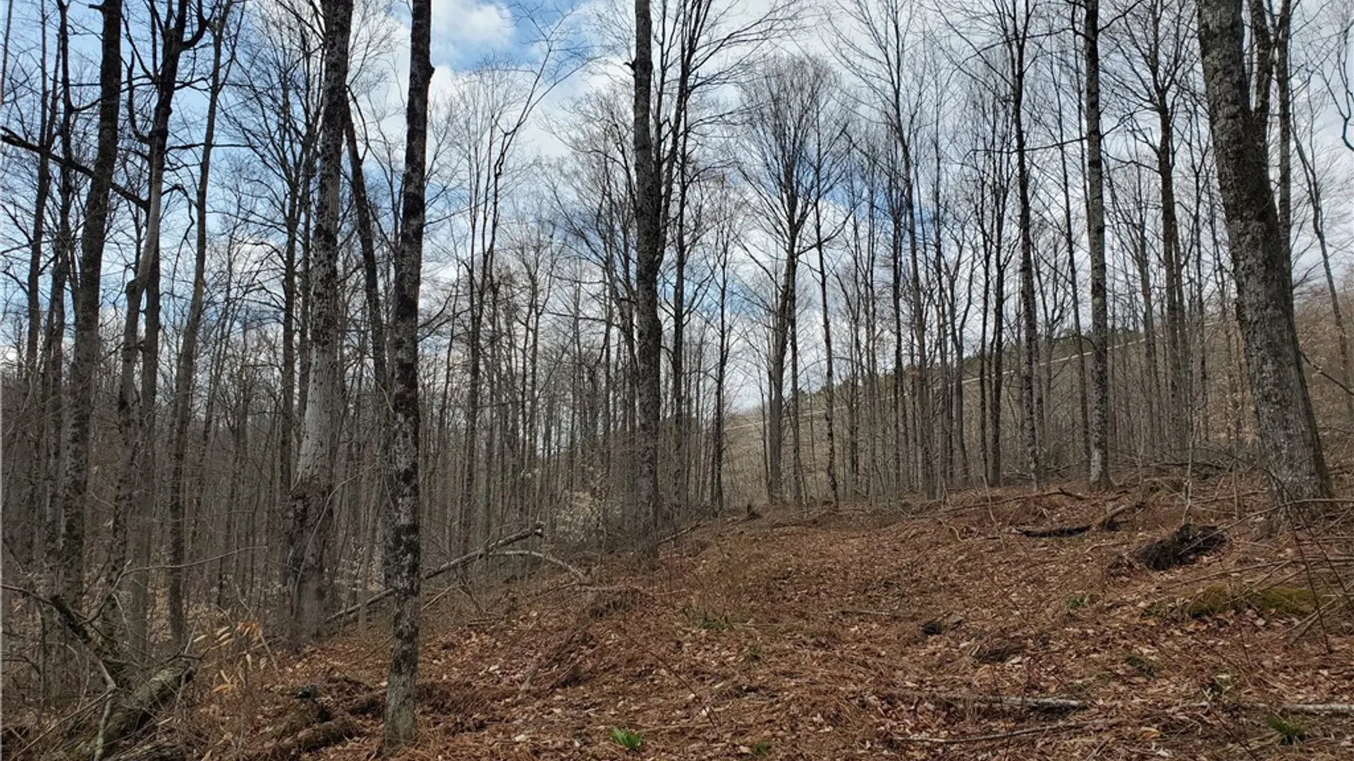 Property at Lot 3 Goddards Road, New Lisbon, NY 13810 17