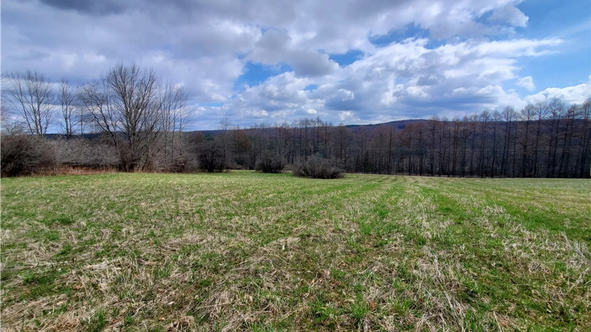 Property at Lot 3 Goddards Road, New Lisbon, NY 13810 2
