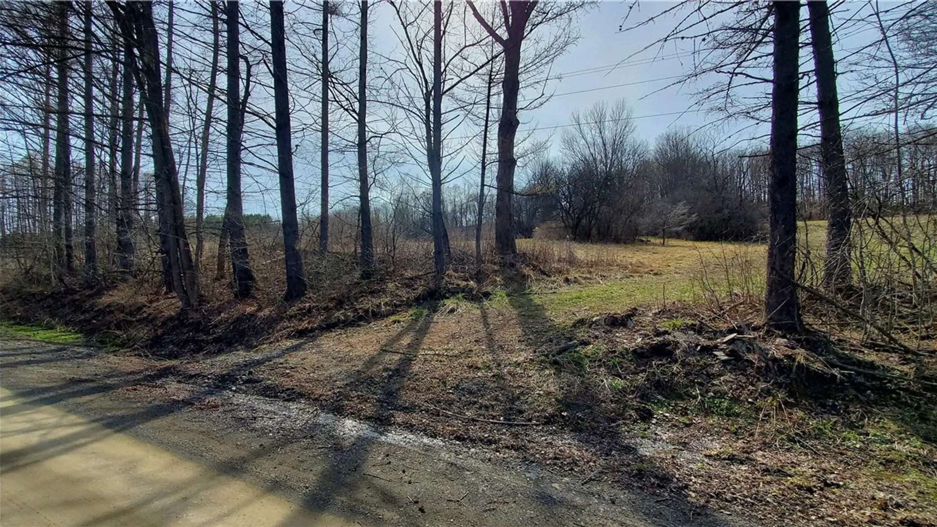 Property at Lot 3 Goddards Road, New Lisbon, NY 13810 20