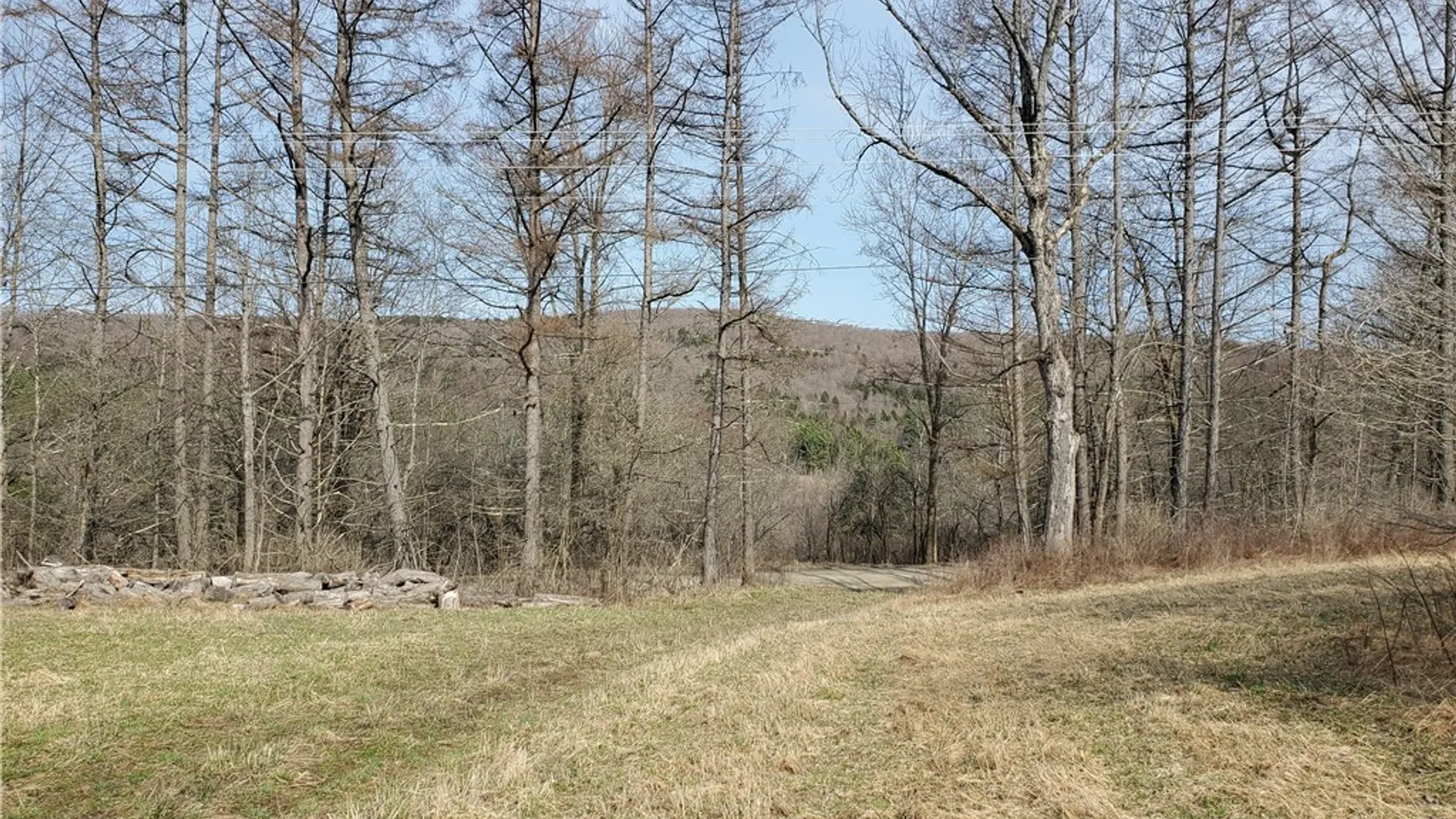 Property at Lot 3 Goddards Road, New Lisbon, NY 13810 21