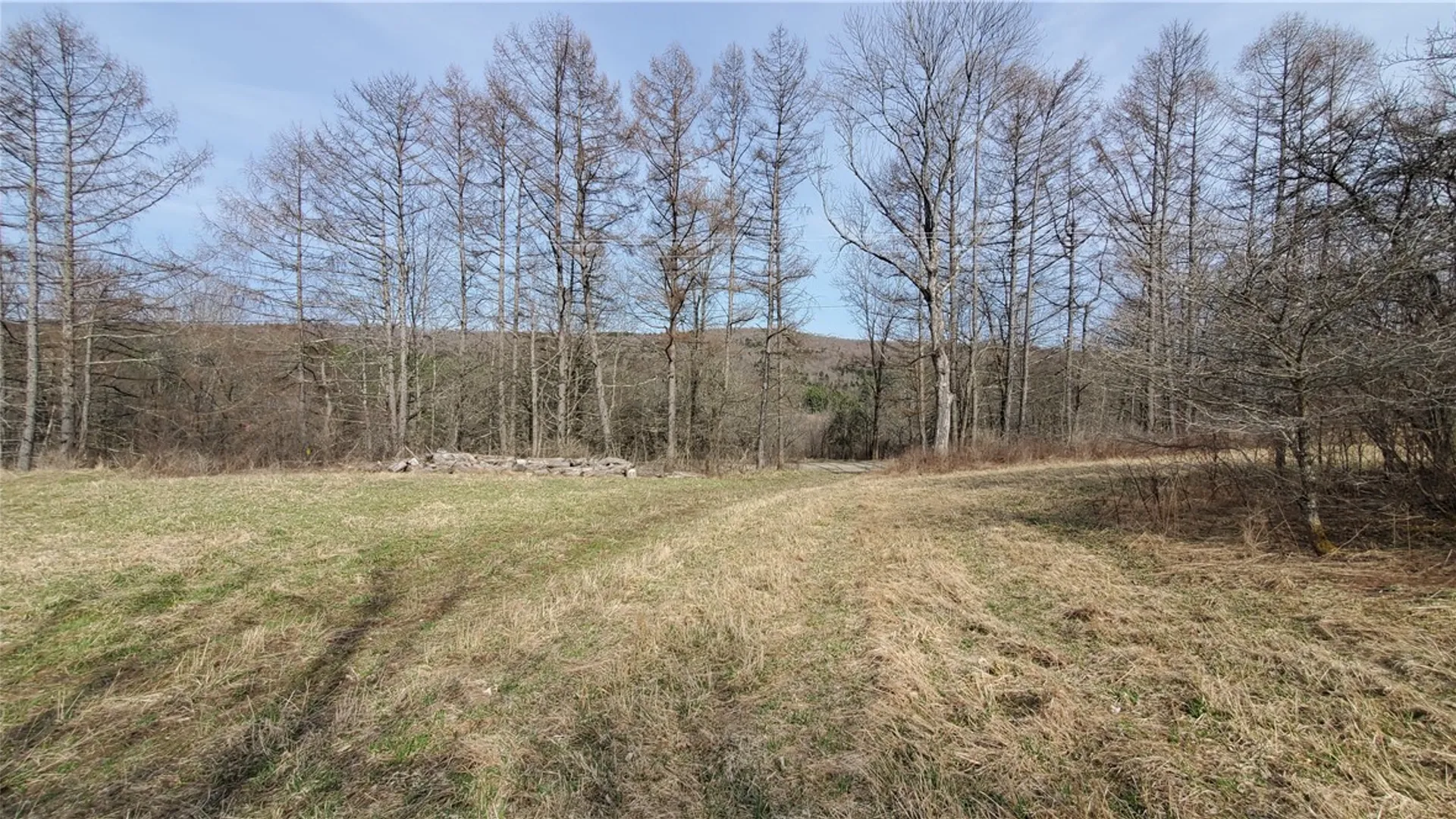Property at Lot 3 Goddards Road, New Lisbon, NY 13810 22