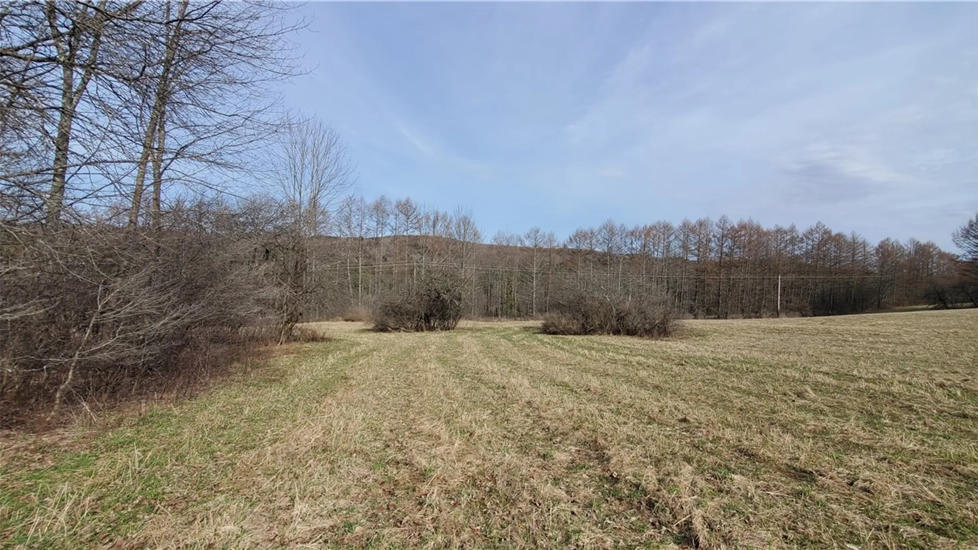 Property at Lot 3 Goddards Road, New Lisbon, NY 13810 24
