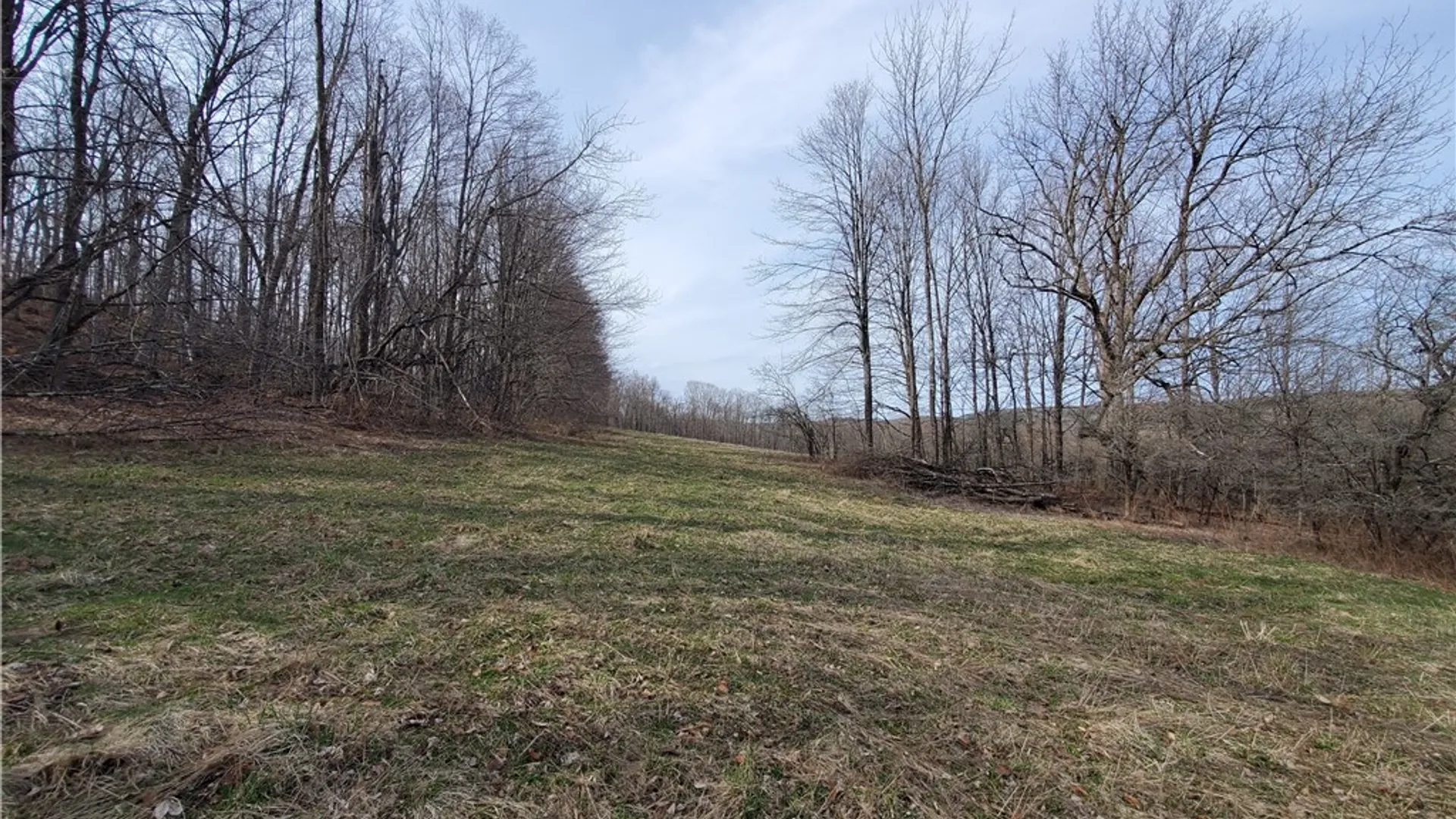Property at Lot 3 Goddards Road, New Lisbon, NY 13810 26