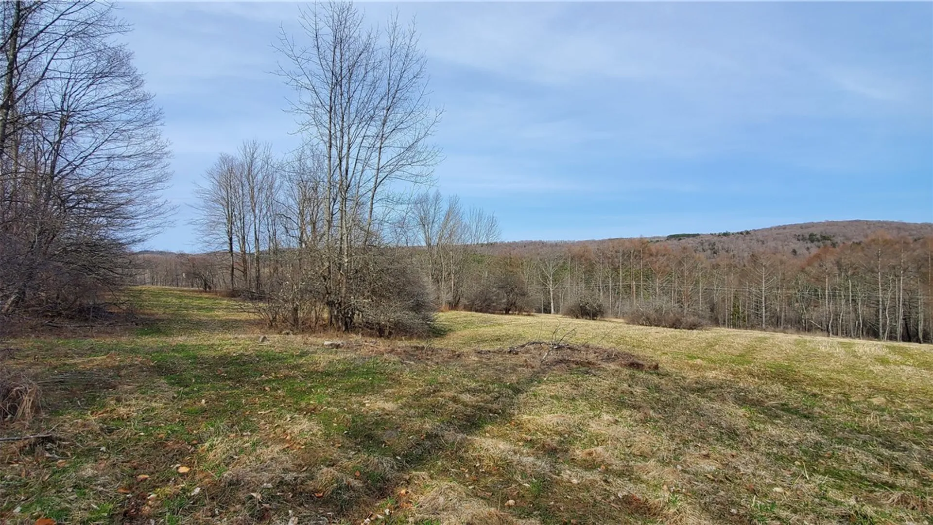 Property at Lot 3 Goddards Road, New Lisbon, NY 13810 27