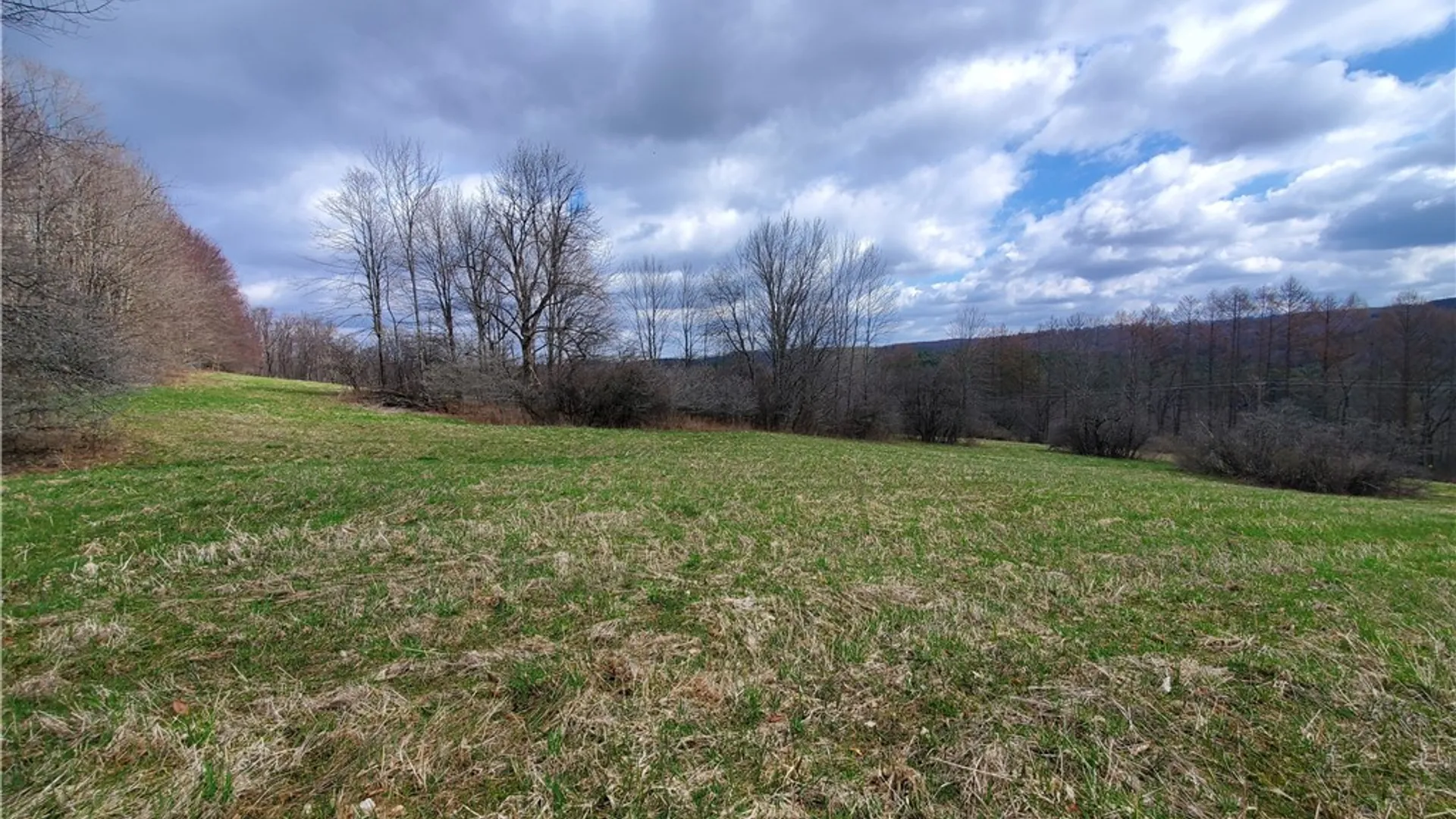 Property at Lot 3 Goddards Road, New Lisbon, NY 13810 3