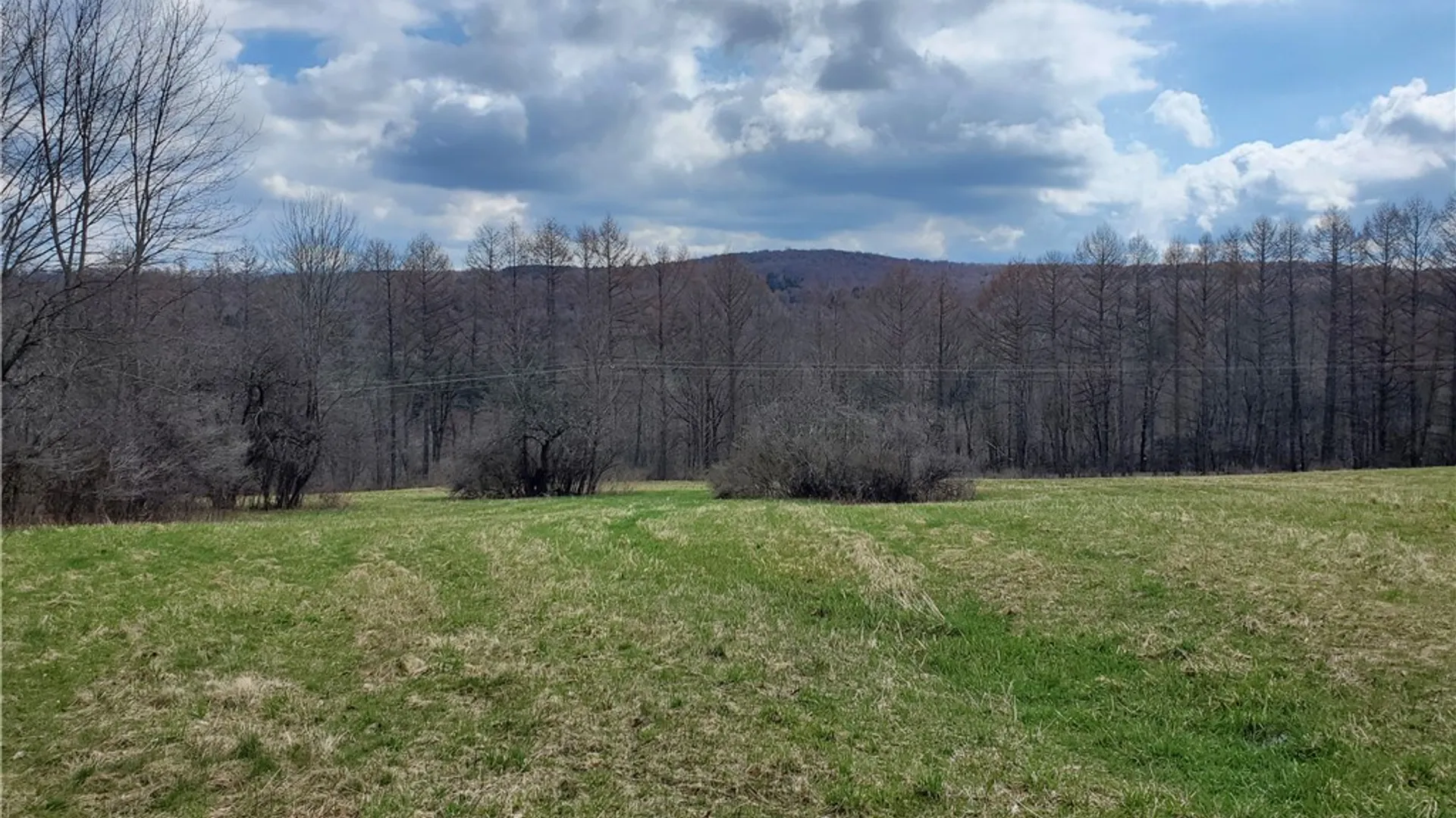 Property at Lot 3 Goddards Road, New Lisbon, NY 13810 4