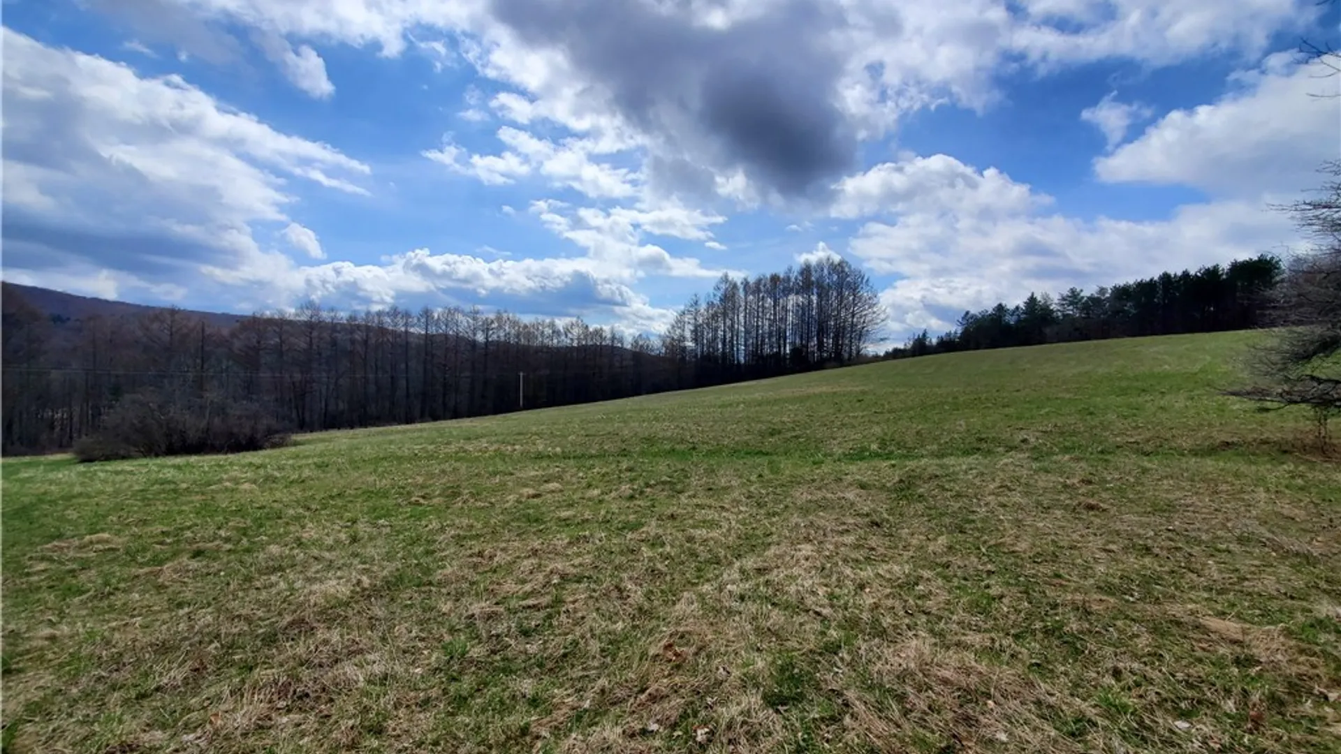Property at Lot 3 Goddards Road, New Lisbon, NY 13810 5