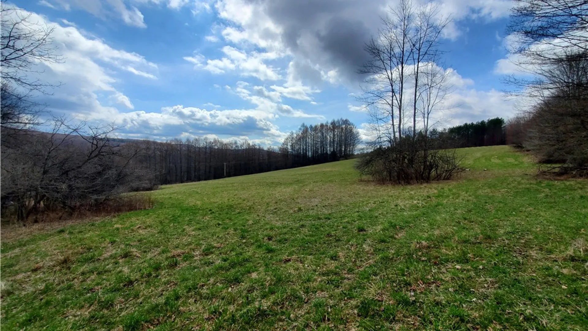 Property at Lot 3 Goddards Road, New Lisbon, NY 13810 6
