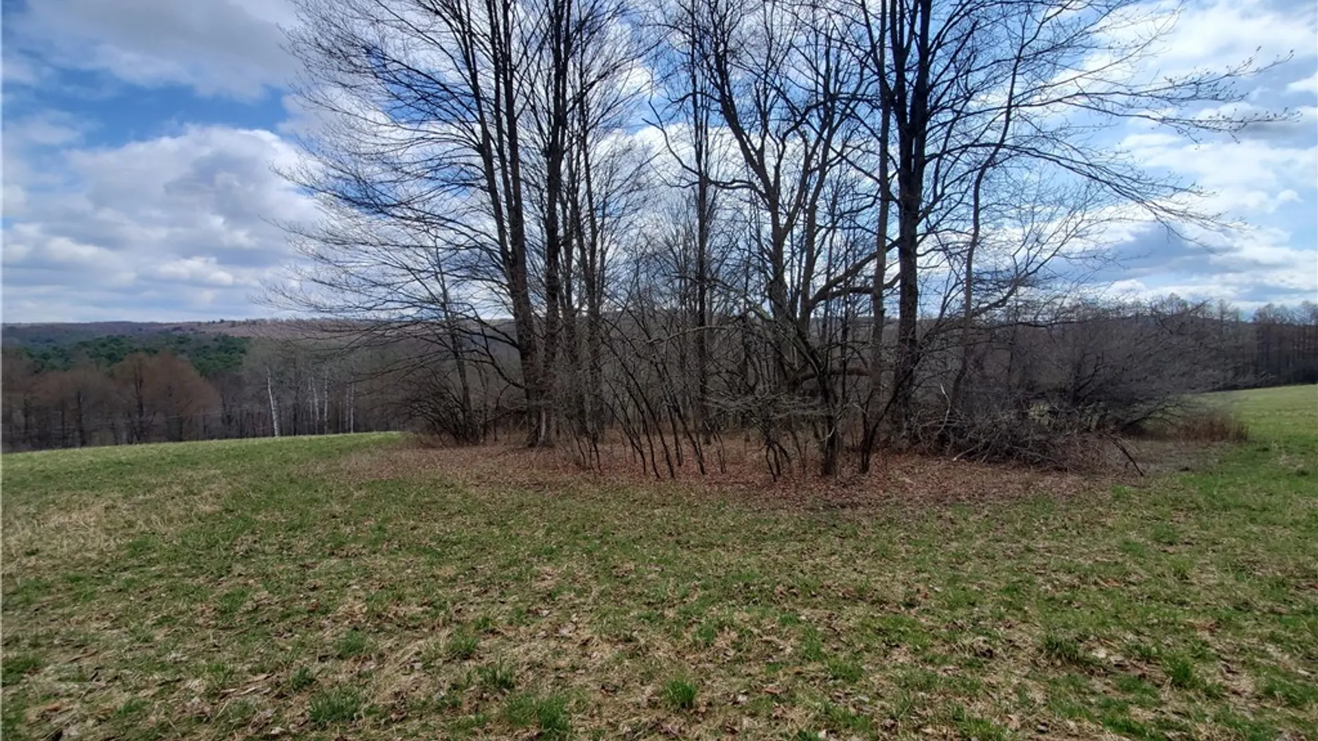 Property at Lot 3 Goddards Road, New Lisbon, NY 13810 7
