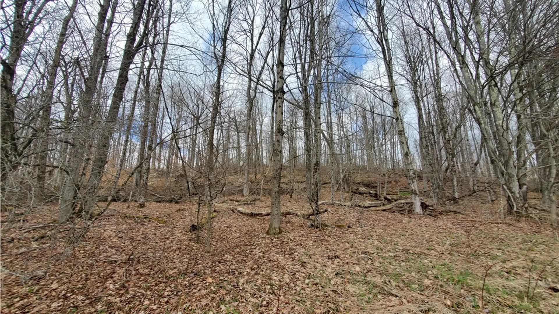 Property at Lot 3 Goddards Road, New Lisbon, NY 13810 8