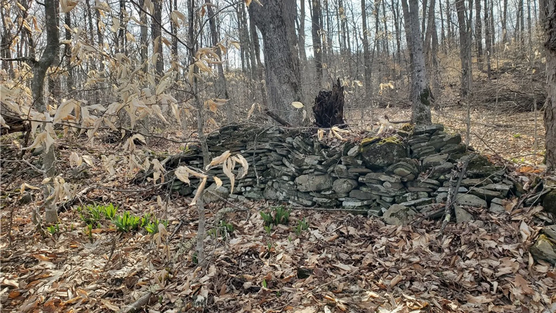 Property at Lot 3 Goddards Road, New Lisbon, NY 13810 9