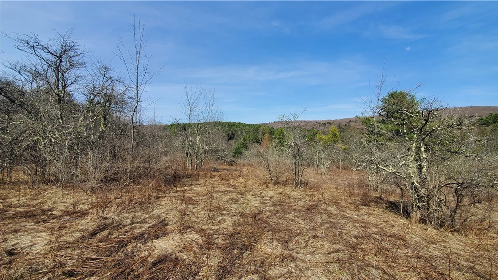 Property at Lot #10 Goddards Road, New Lisbon, NY 13810 10