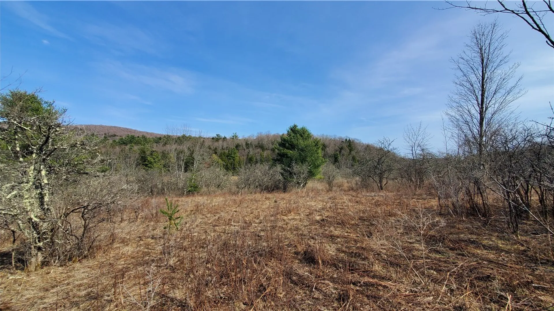Property at Lot #10 Goddards Road, New Lisbon, NY 13810 11