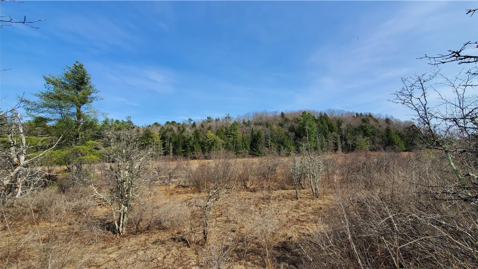 Property at Lot #10 Goddards Road, New Lisbon, NY 13810 12