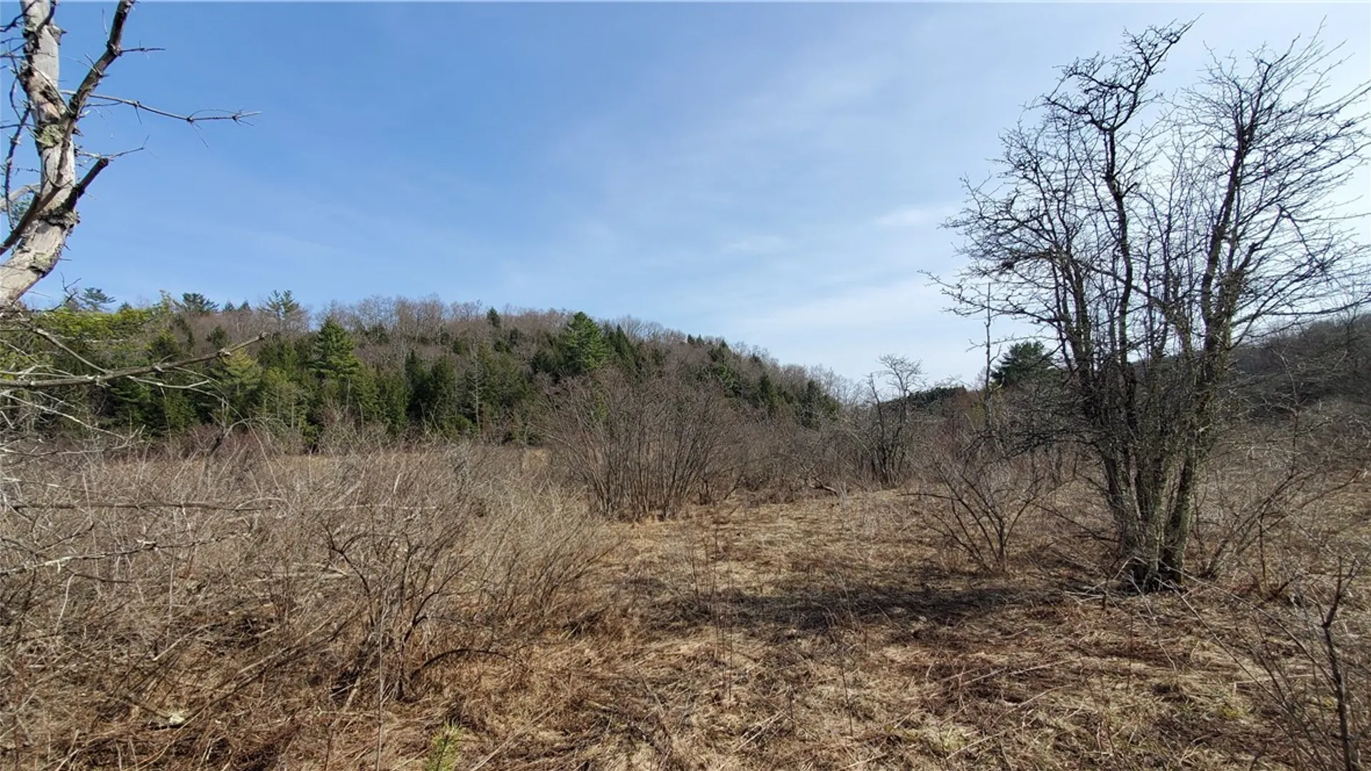 Property at Lot #10 Goddards Road, New Lisbon, NY 13810 13
