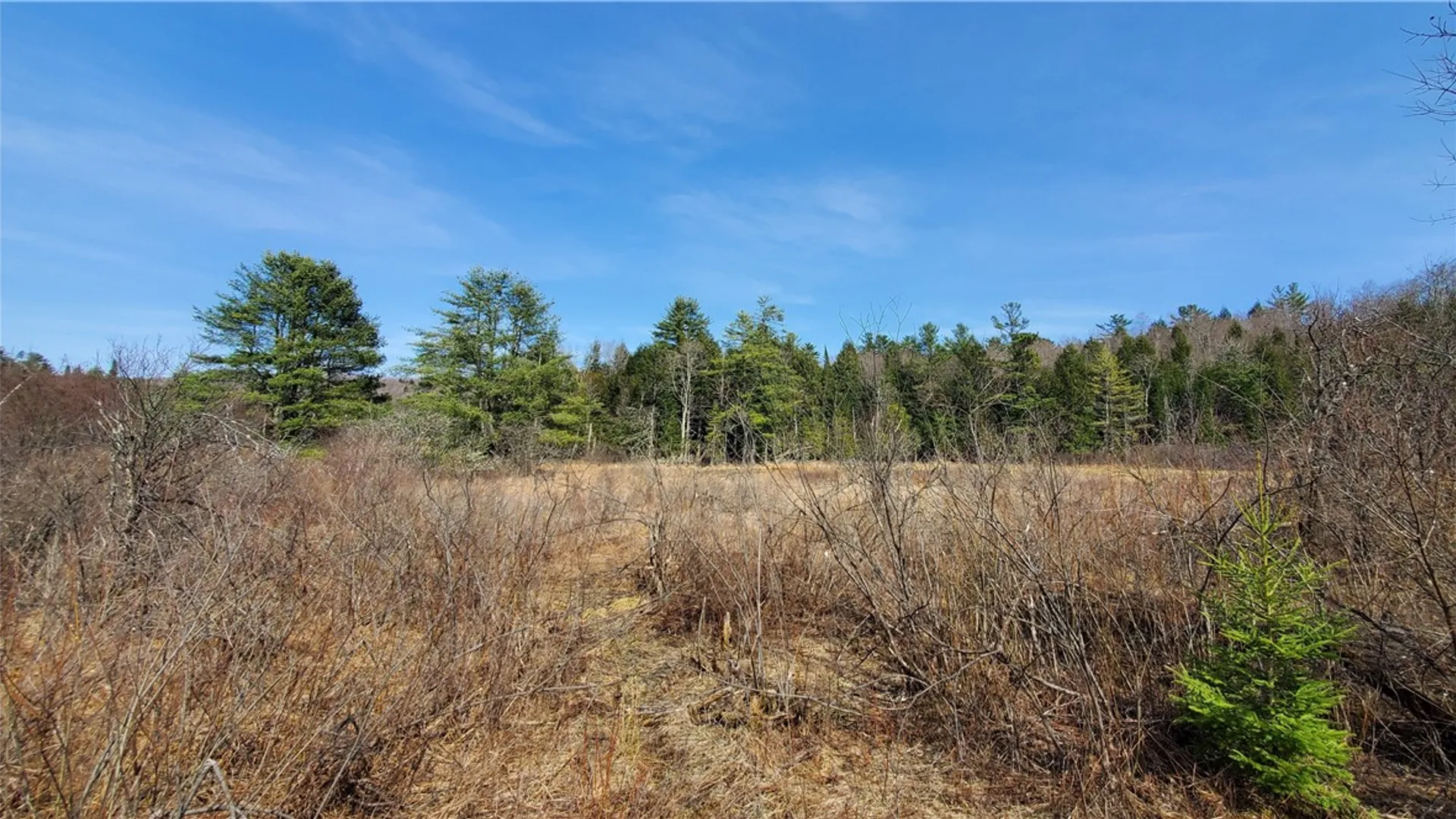 Property at Lot #10 Goddards Road, New Lisbon, NY 13810 14