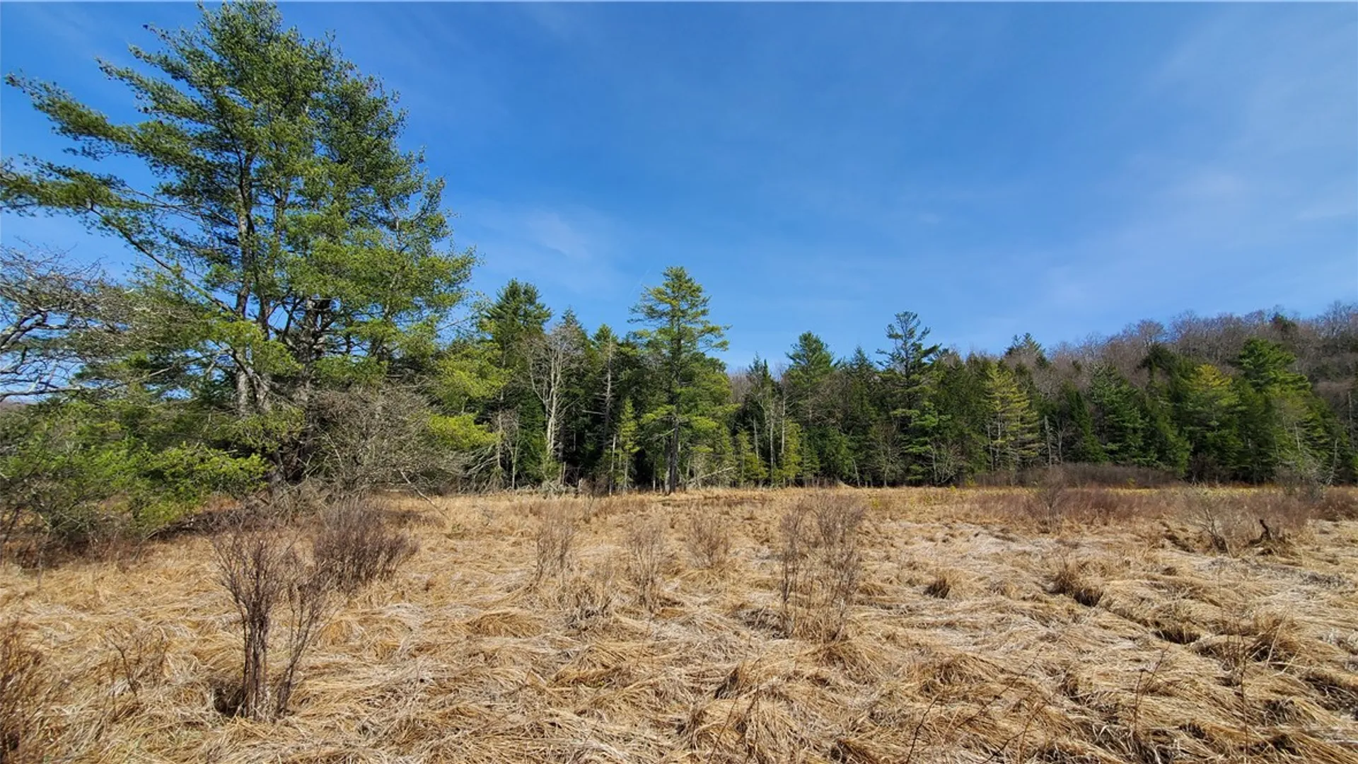 Property at Lot #10 Goddards Road, New Lisbon, NY 13810 15
